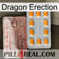 Dragon Erection new13